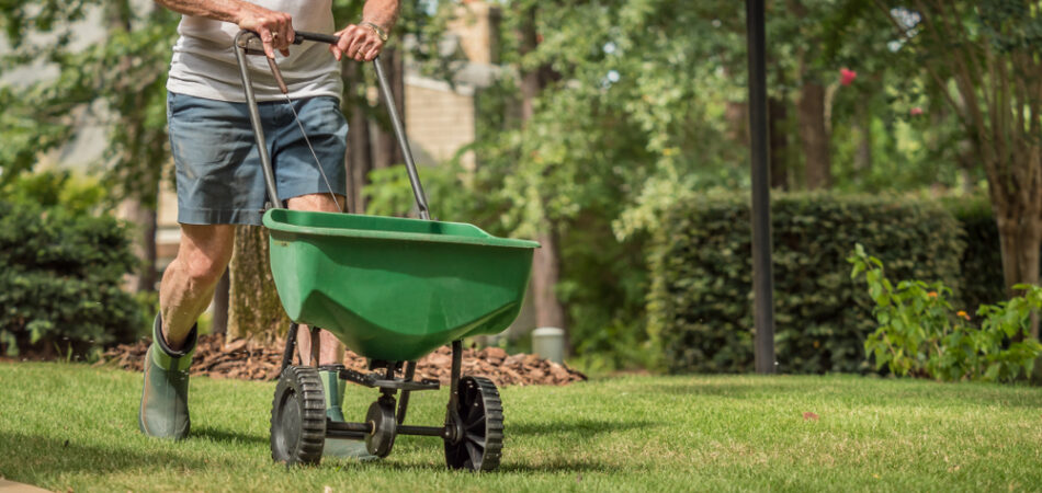 Man,seeding,and,fertilizing,residential,backyard,lawn,with,manual,grass