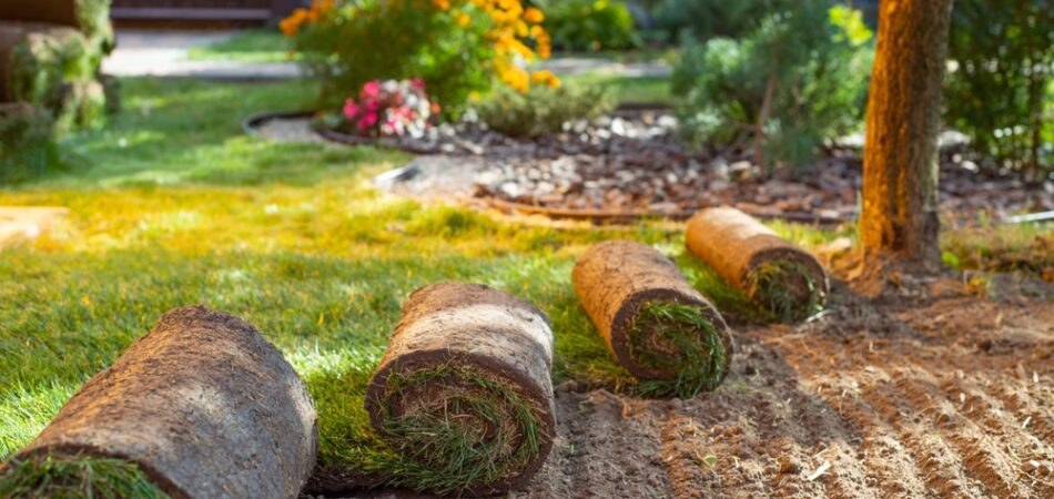 Stack,of,turf,grass,for,lawn.,roll,of,sod,,turf