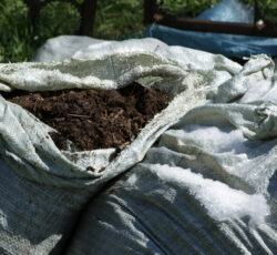 Bags,with,horse,manure,to,fertilize,the,soil