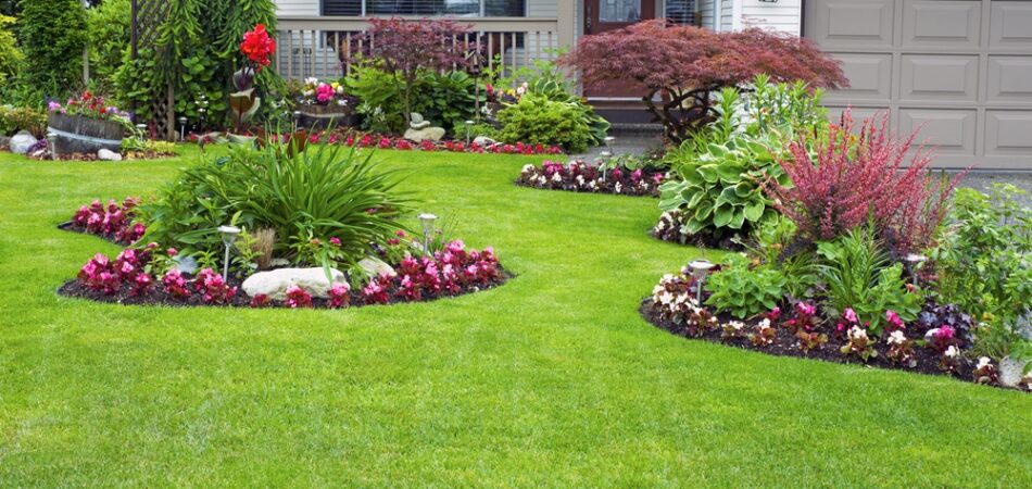 Manicured,house,and,garden,displaying,annuals,and,perennials,in,full